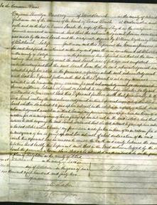 Court of Common Pleas - Sarah Lloyd-Original Ancestry