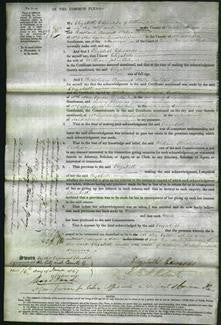 Court of Common Pleas - Elizabeth Palmer-Original Ancestry