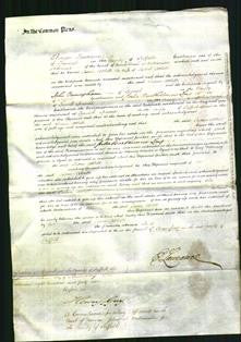 Court of Common Pleas - Susan Atthill-Original Ancestry