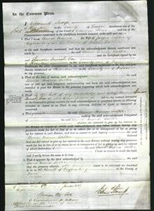 Court of Common Pleas - Anna Maria Salter-Original Ancestry