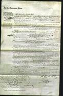 Court of Common Pleas - Susan Sophia Palmer-Original Ancestry