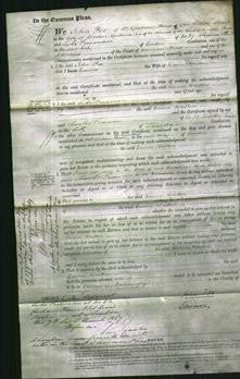 Court of Common Pleas - Emma Britten-Original Ancestry