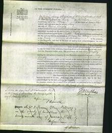 Court of Common Pleas - Mary Doughty-Original Ancestry