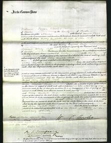 Court of Common Pleas - Mary Elizabeth Porter-Original Ancestry