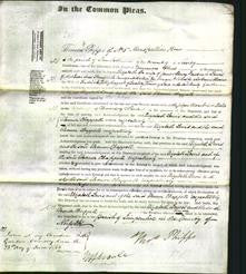 Court of Common Pleas - Elizabeth Lewis and Eleanor Chappell-Original Ancestry