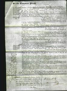 Court of Common Pleas - Amelia Annie Augusta Bourdillon and Lavinia Betty Murray Gunning-Original Ancestry