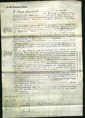 Court of Common Pleas - Eleanor Emma Llewellyn-Original Ancestry