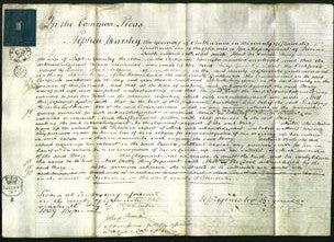 Court of Common Pleas - Mary Yearsley-Original Ancestry