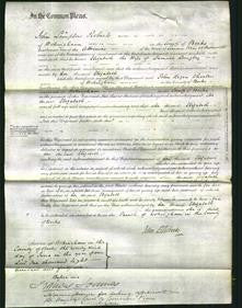 Court of Common Pleas - Elizabeth Langley-Original Ancestry