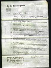 Court of Common Pleas - Sophia Jopling-Original Ancestry