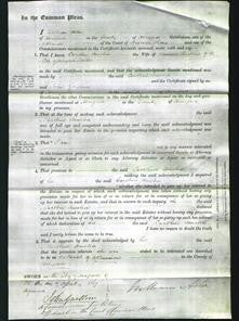 Court of Common Pleas - Caroline Amelia Bullen-Original Ancestry