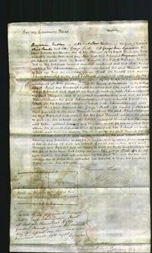 Court of Common Pleas - Hannah Fell-Original Ancestry