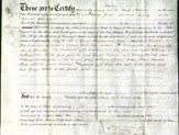 Deed by Married Women - Mary Tanner and Jane Hopkins-Original Ancestry