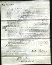 Court of Common Pleas - Rhoda Appleby-Original Ancestry