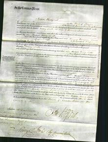 Court of Common Pleas - Mary Leath-Original Ancestry