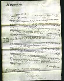 Court of Common Pleas - Mary Ann Atterbury-Original Ancestry