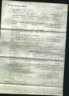 Court of Common Pleas - Mary Ann Paddon-Original Ancestry