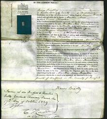 Court of Common Pleas - Martha Ann Thornton-Original Ancestry