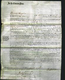 Court of Common Pleas - Hannah Evans-Original Ancestry