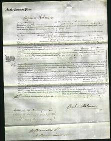 Court of Common Pleas - Caroline Jones-Original Ancestry