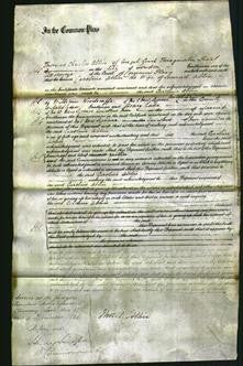 Court of Common Pleas - Caroline Ablin-Original Ancestry