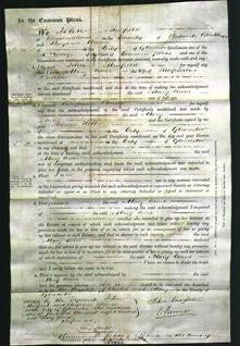 Court of Common Pleas - Mary Anne Butcher-Original Ancestry