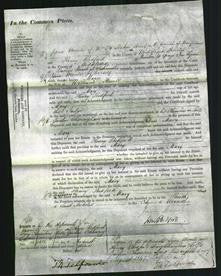 Court of Common Pleas - Mary Powell-Original Ancestry