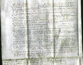 Court of Common Pleas - Anne Eliza Fearon-Original Ancestry