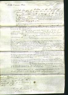 Court of Common Pleas - Maria Rose-Original Ancestry