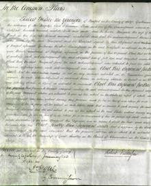 Court of Common Pleas - Margaret Plant-Original Ancestry