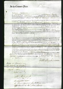 Court of Common Pleas - Mary Rowell-Original Ancestry