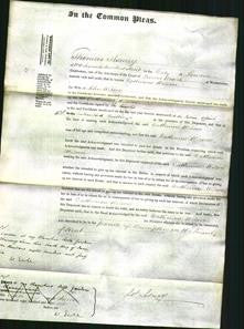 Court of Common Pleas - Catherine Wilson-Original Ancestry