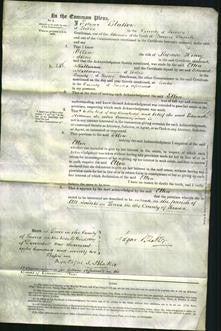 Court of Common Pleas - Ellen Stone-Original Ancestry