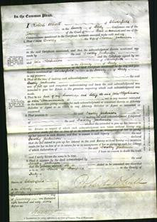 Court of Common Pleas - Dorothy Jenkinson-Original Ancestry