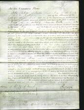 Court of Common Pleas - Mary Wells-Original Ancestry