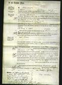 Court of Common Pleas - Susanna Shoudley and Eliza Butcher-Original Ancestry