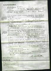 Court of Common Pleas - Emily Ford Badcock-Original Ancestry