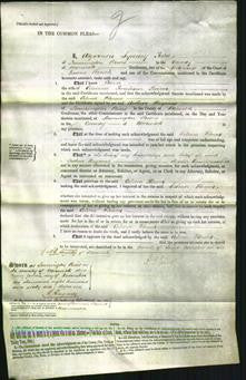 Court of Common Pleas - Celina Hower-Original Ancestry