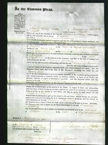 Court of Common Pleas - Frances Mowbray-Original Ancestry