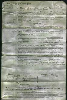 Court of Common Pleas - Alice Coxon and Jane Mackinlay-Original Ancestry