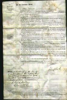 Court of Common Pleas - Sarah Ann Kent-Original Ancestry