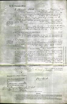 Court of Common Pleas - Mary Ann Hall-Original Ancestry