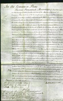 Court of Common Pleas - Ann Tindle-Original Ancestry