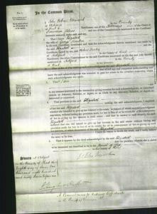 Court of Common Pleas - Elizabeth Parkin-Original Ancestry
