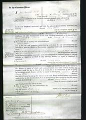 Court of Common Pleas - Mary Eddles-Original Ancestry