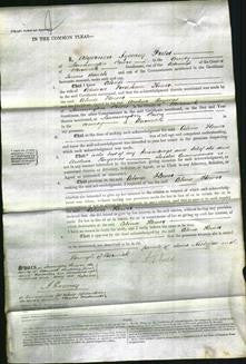 Court of Common Pleas - Celina Flower-Original Ancestry