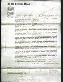 Court of Common Pleas - Frances Mowbray-Original Ancestry