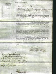 Court of Common Pleas - Ann Maria Woodwards-Original Ancestry