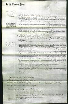 Court of Common Pleas - Susannah Bowen-Original Ancestry