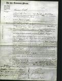 Court of Common Pleas - Jane Jagger-Original Ancestry